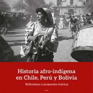 HISTORIA AFRO INDIGENA EN CHILE PERU Y BOLIVIA REFLEXIONES Y PROPUESTAS TEORICAS
