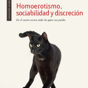 HOMOEROTISMO SOCIABILIDAD Y DISCRECION EN EL CUARTO OSCURO TODOS LOS GATOS SON PARDOS