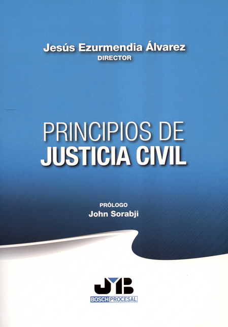 PRINCIPIOS DE JUSTICIA CIVIL