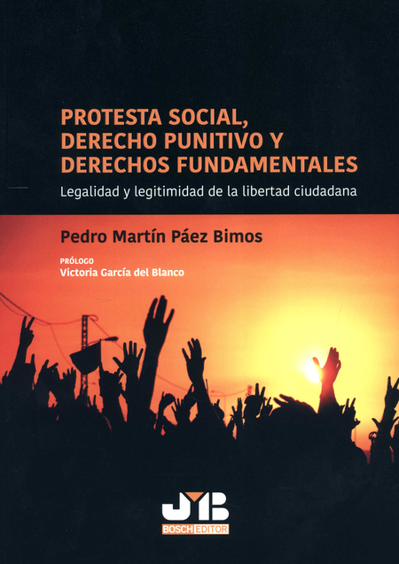 PROTESTA SOCIAL DERECHO PUNITIVO Y DERECHOS FUNDAMENTALES LEGALIDAD Y LEGITIMIDAD DE LA LIBERTAD CIUDADANA