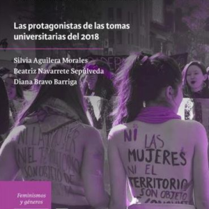 QUE TODO EL TERRITORIO SE VUELVA FEMINISTA LAS PROTAGONISTAS DE LAS TOMAS UNIVERSITARIAS DEL 2018
