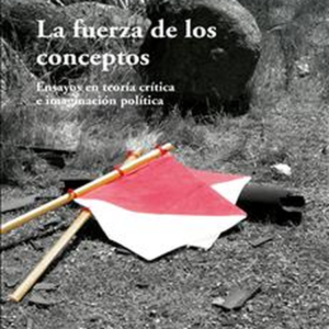 FUERZA DE LOS CONCEPTOS ENSAYOS EN TEORIA CRITICA E IMAGINACION POLITICA, LA
