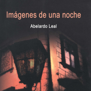 IMAGENES DE UNA NOCHE