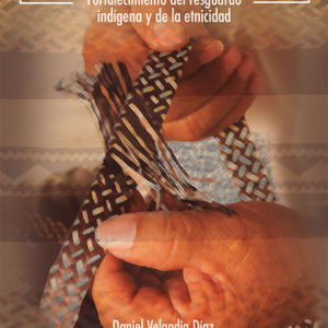 RECUPERACION DE TIERRAS EN EL PUEBLO ZENU FORTALECIMIENTO DEL RESGUARDO INDIGENA Y DE LA ETNICIDAD