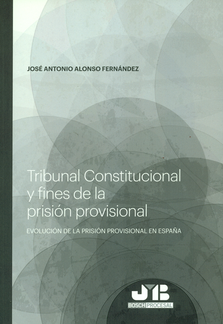 TRIBUNAL CONSTITUCIONAL Y FINES DE LA PRISION PROVISIONAL