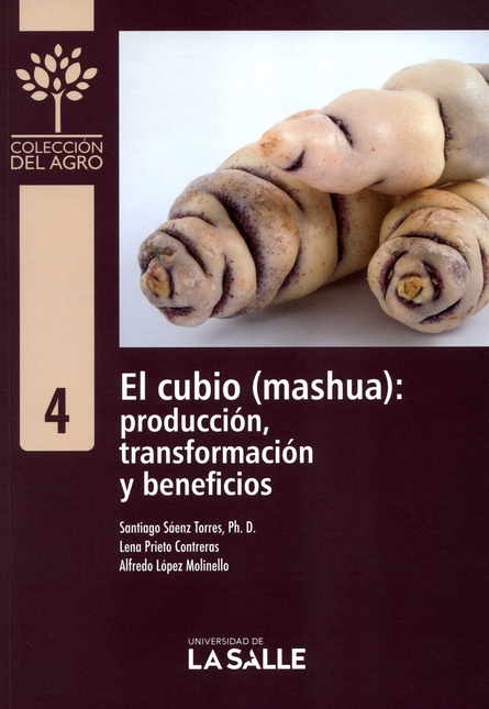CUBIO MASHUA PRODUCCION TRANSFORMACION Y BENEFICIOS, EL