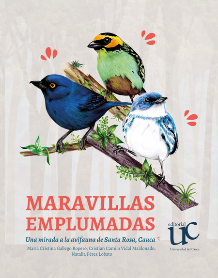 MARAVILLAS EMPLUMADAS UNA MIRADA A LA AVIFAUNA DE SANTA ROSA CAUCA