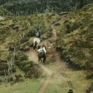 DESARROLLO RURAL TERRITORIAL