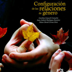 CONFIGURACION DE LAS RELACIONES DE GENERO